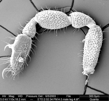 Media type: image;   Invertebrate Zoology 134639